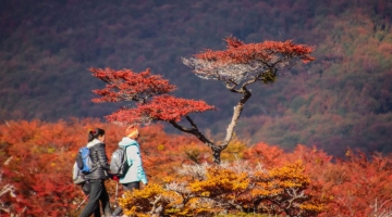 Las mejores fotos de Ushuaia en otoño
