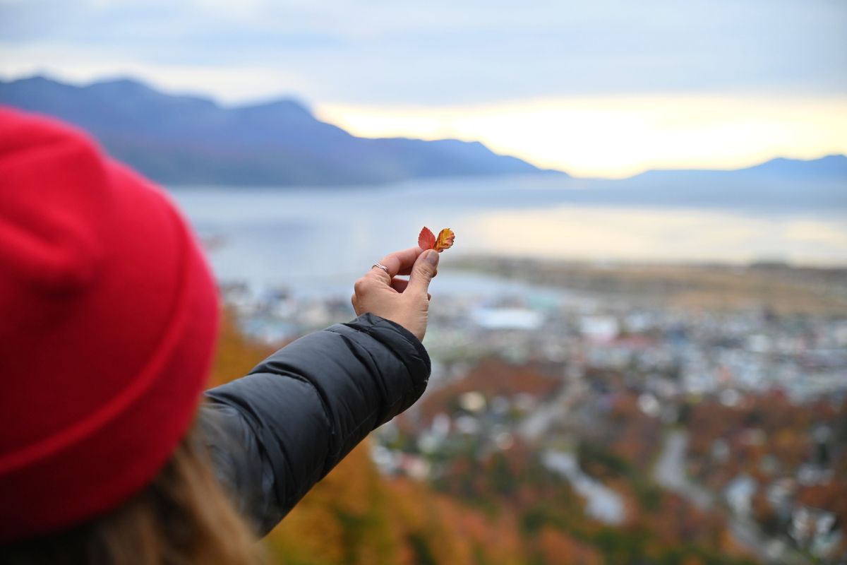 excursiones de otoño con hoja